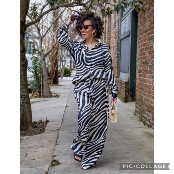 NWT H&M Blogger Fave Zebra Print Satin Shirt/Pants - Picture 5 of 12